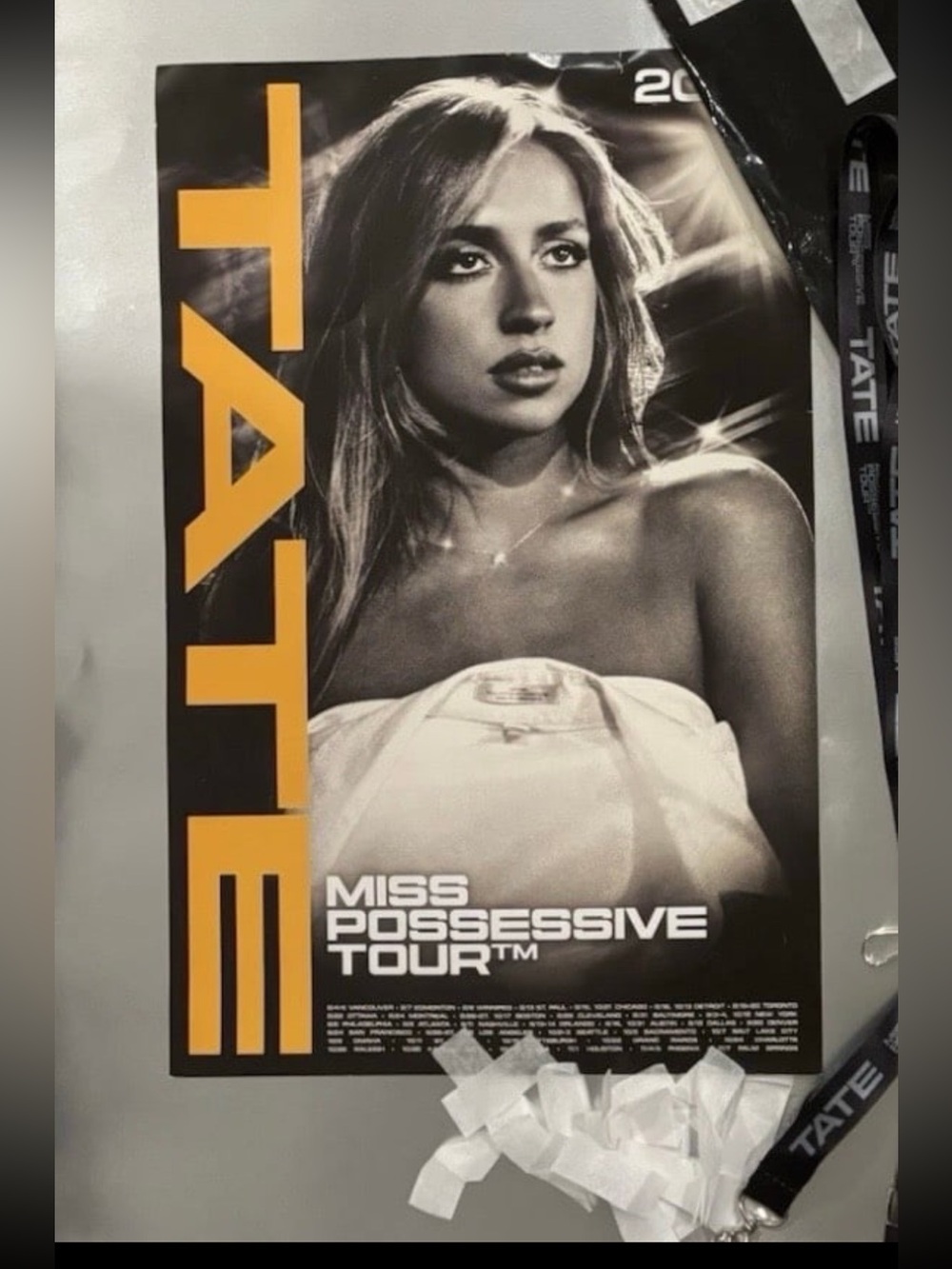 TATE Miss Possessive Tour Poster and Merchandise Set